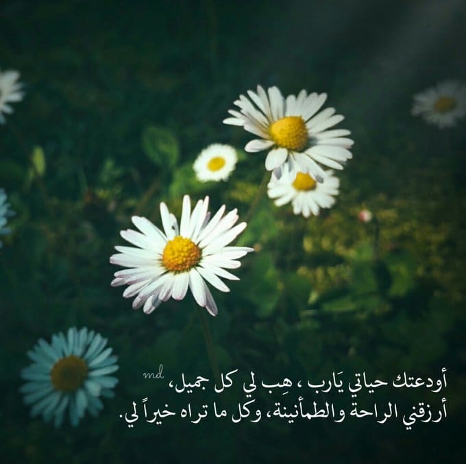 4اللهم غيرني للافضل تويتر