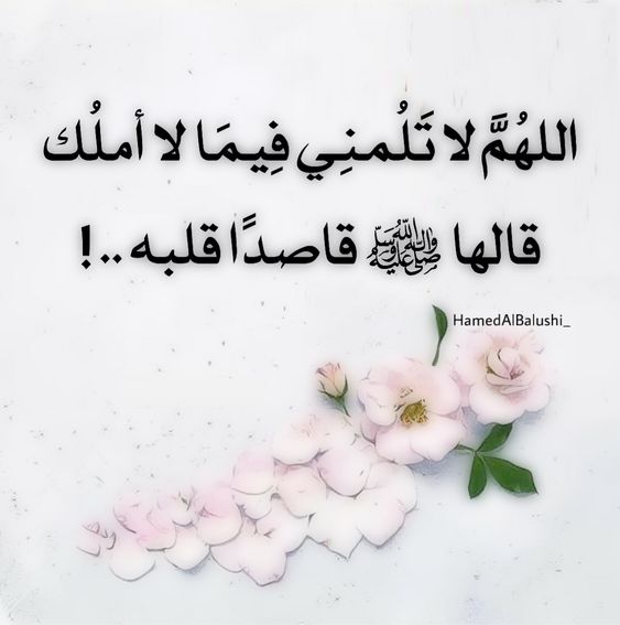 اللهم لا تَلُمنِي فيما لا أملُك تويتر1