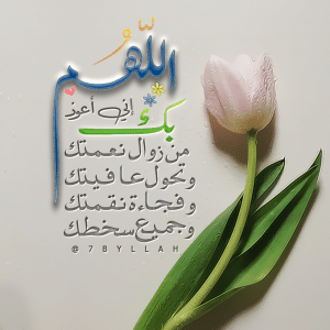 اللهم نعوذ بك من زوال نعمتك