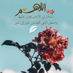 اللهم سخر لي الارض ومن عليها