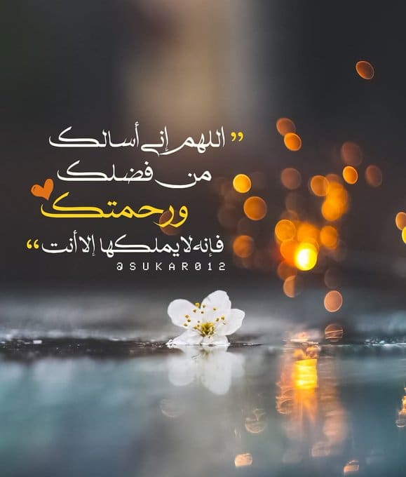 2اللهم اني اسالك من فضلك وَرَحْمَتِكَ تويتر