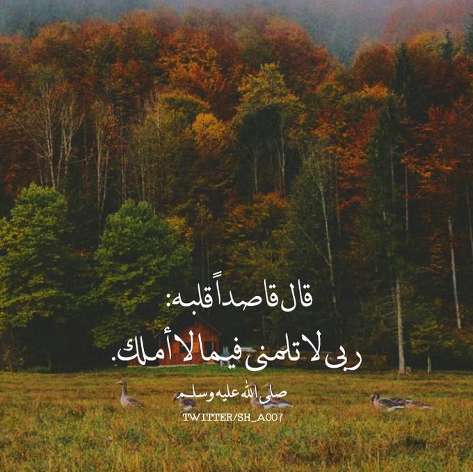 اللهم لا تَلُمنِي فيما لا أملُك تويتر2