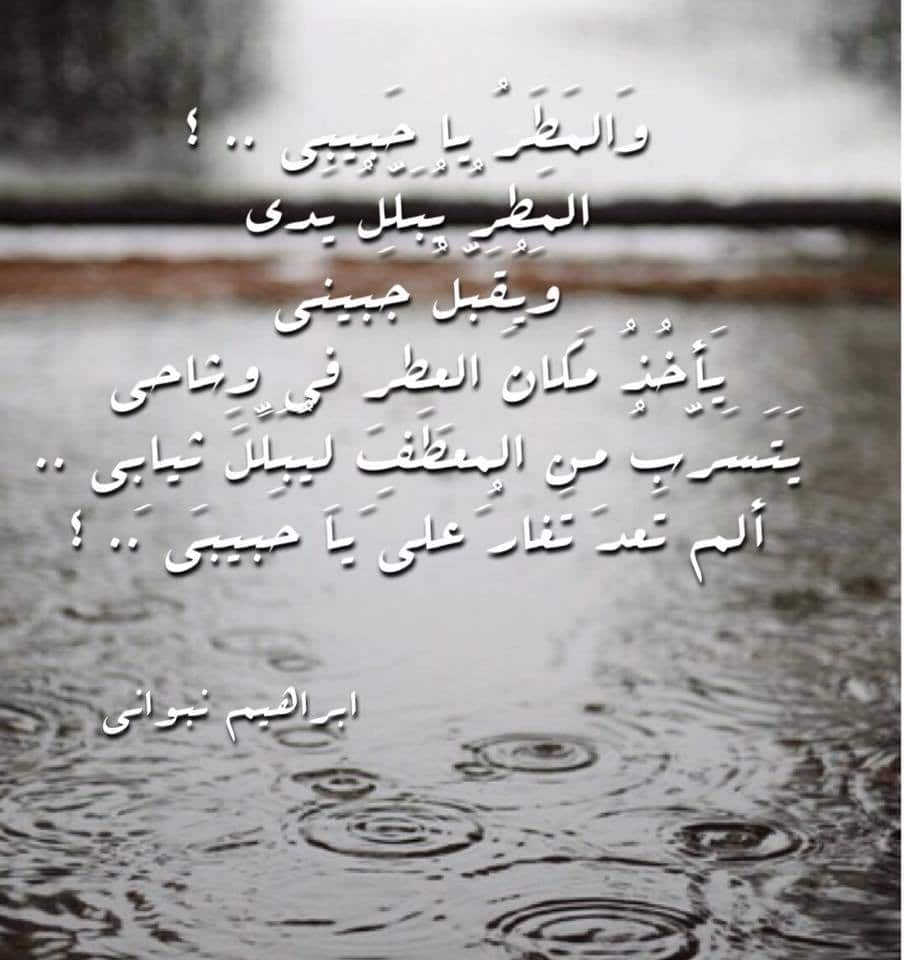 خواطر عن المطر والشتاء