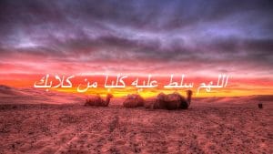 اللهم سلط عليه كلبا من كلابك