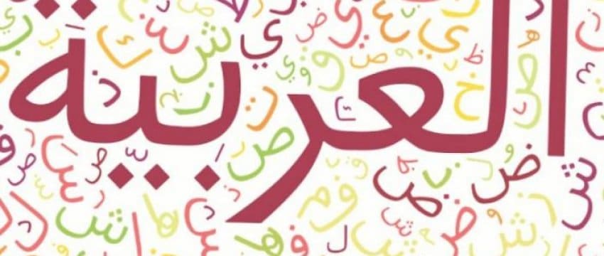 حل كتاب لغتي خامس الفصل الاول