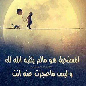 كلام جميل