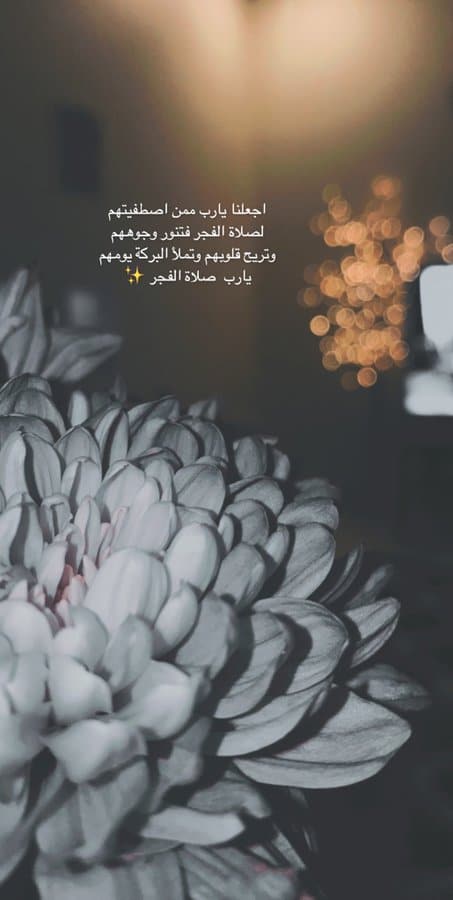 2اللهم في هذا الفجر تويتر