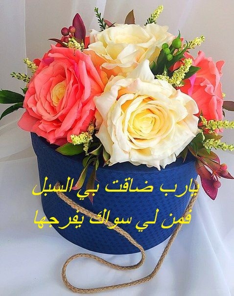 يارب ضاقت بي السبل فمن لي سواك يفرجها1