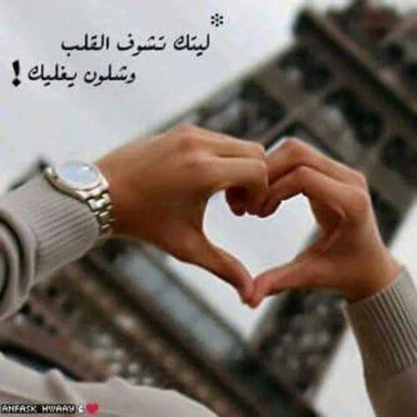 عبارات غلا تويتر4