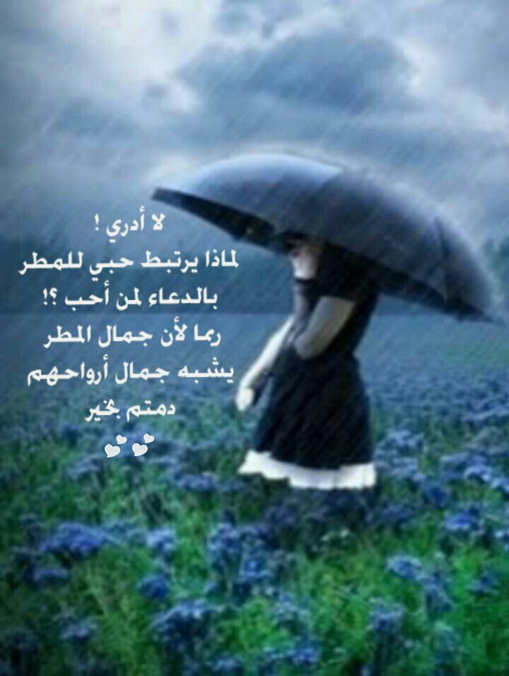 كلمات عن المطر والعشق