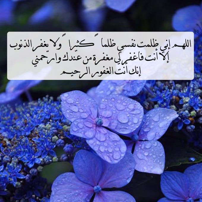 اللهم إني ظلمت نفسي ظلمًا كثيرًا تويتر3