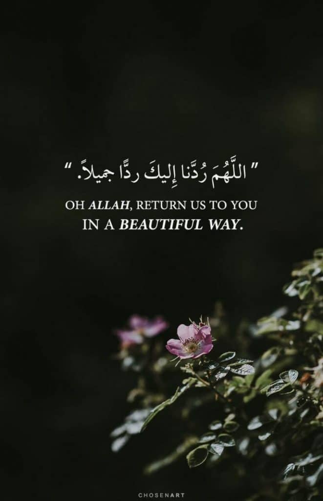 اللهم ردنا اليك رداً جميلاً تويتر2
