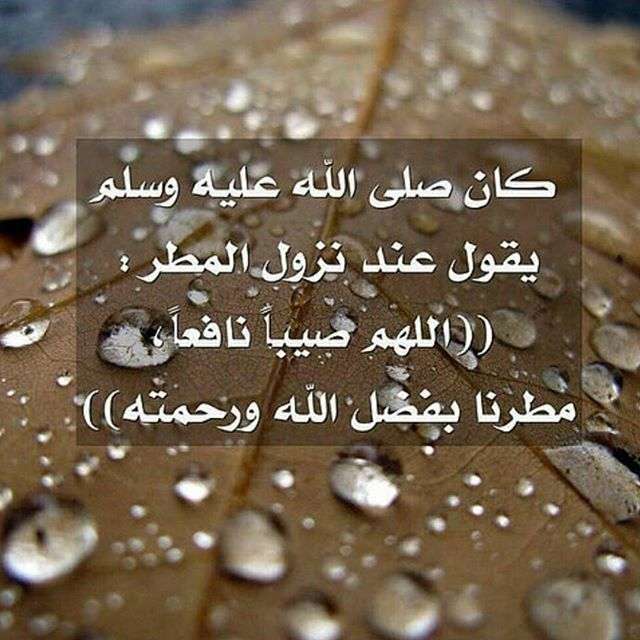 عبارات وصور عن المطر4
