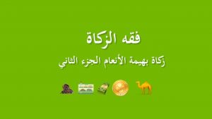 ملخص زكاة بهيمة الانعام
