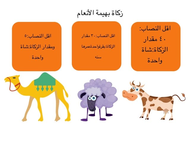 ملخص زكاة بهيمة الانعام