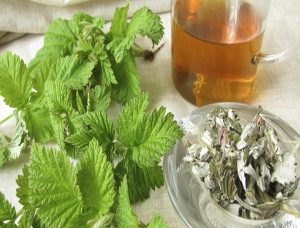 متى تظهر نتائج شرب البردقوش