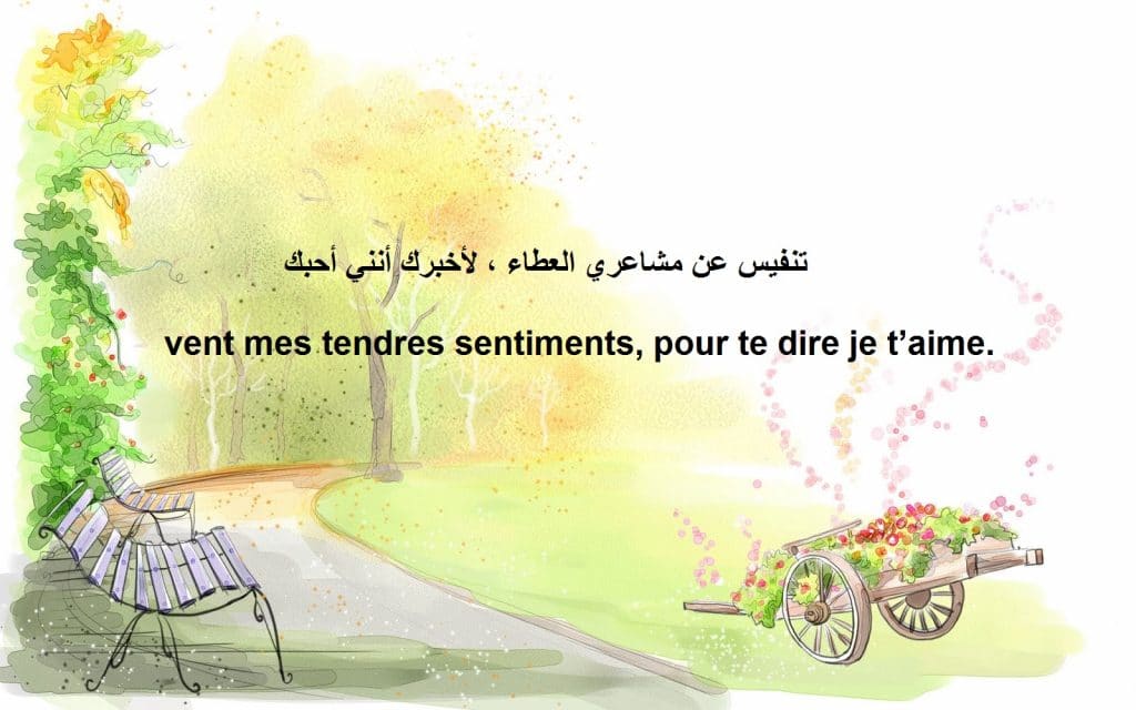 اقتباسات فرنسية عن الحب