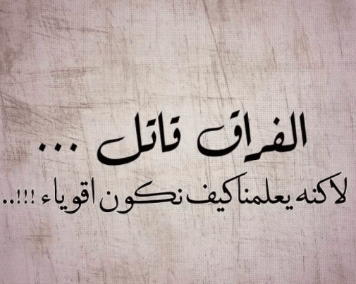 كلام عن عذاب الحب والفراق