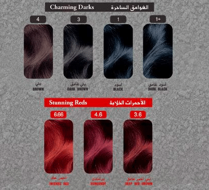 كتالوج صبغة غارنييه بالارقام 2