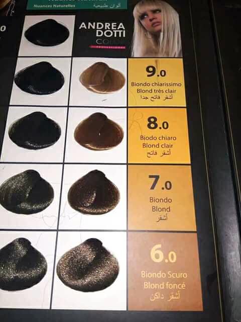 كتالوج صبغة اندريا دوتي بالارقام 2