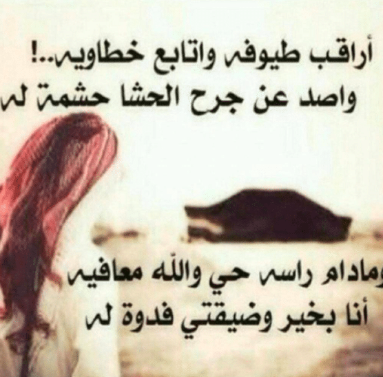 كلمات سعودية بدوية