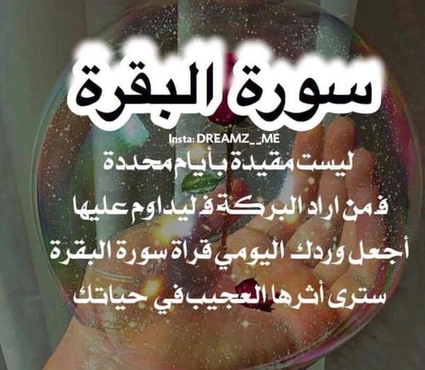 سورة البقرة لعلاج الأورام - آيات علاج الأورام