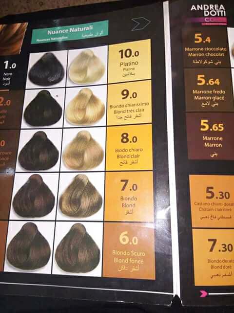 كتالوج صبغة اندريا دوتي بالارقام 3