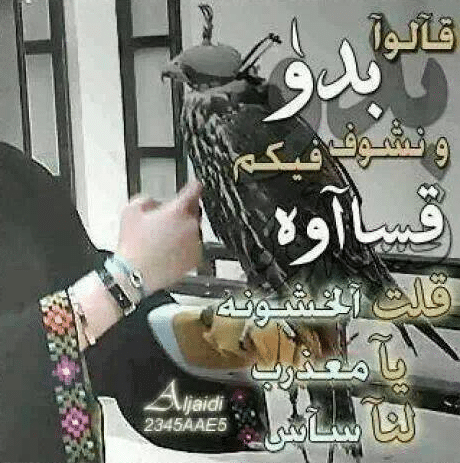 كلمات بدوية شمالية