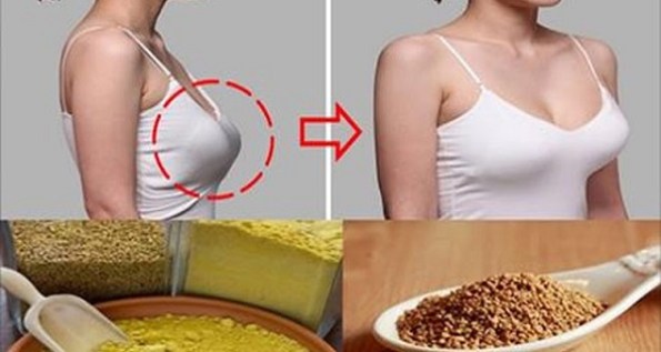 فوائد شرب الحلبة للصدر