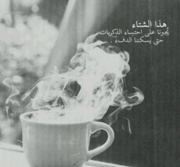 بوستات عن الشتاء ٢