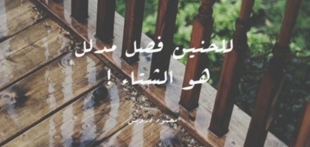 بوستات عن الشتاء ٦