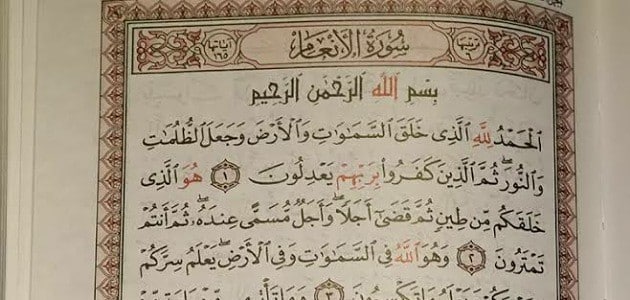 ملخص تفسير سورة الأنعام