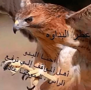 كلمات بدويه قصيرة
