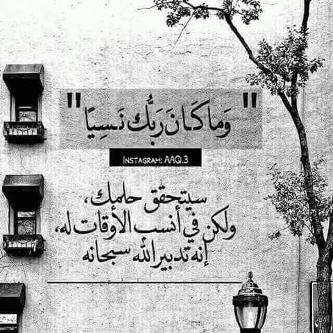 بدايه جديده تويتر 2