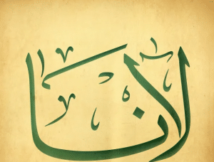 رايكم في اسم لانا