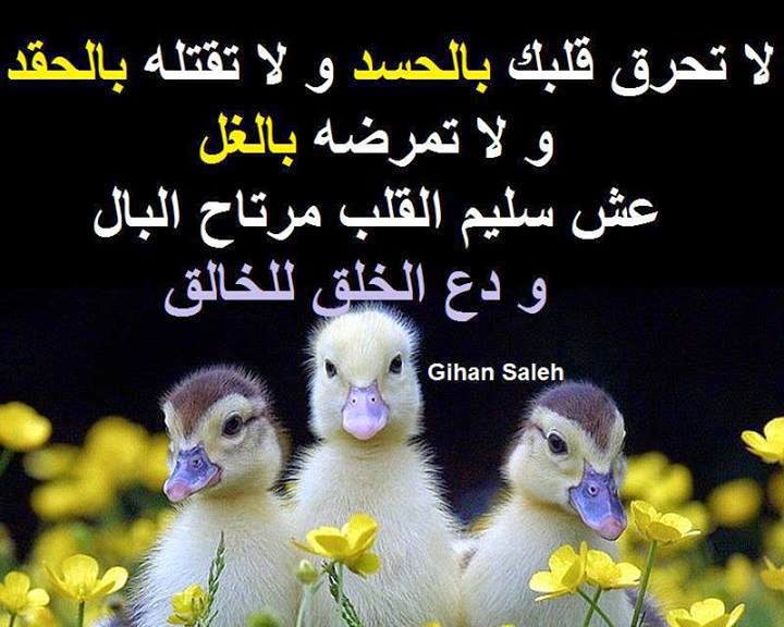 كلمات عن الحسد مع الصور3