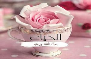 اجمل ما قيل عن الحياء