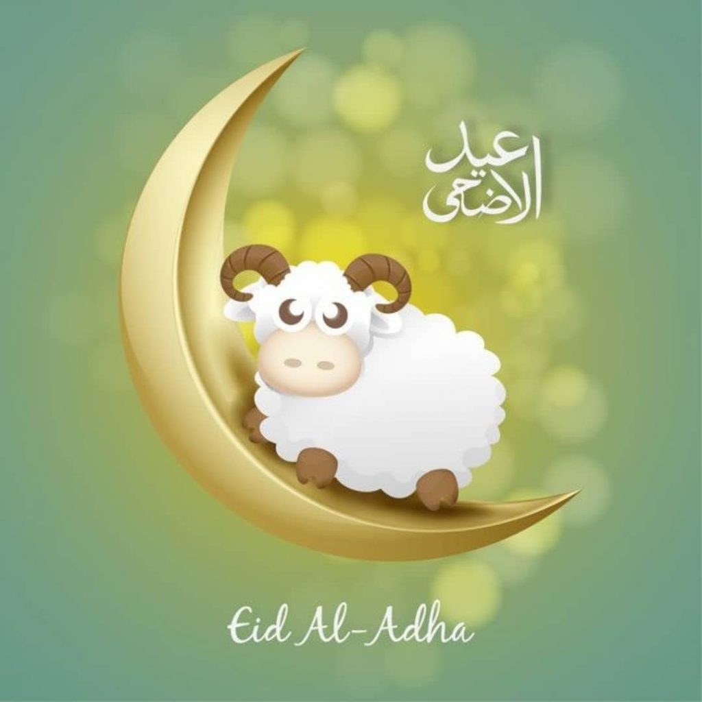 2ثيمات عيد الاضحى تويتر