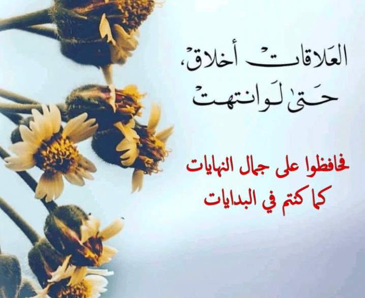 عبارات عن البدايات تويتر 4