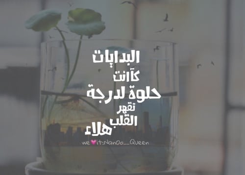 بوست عن البدايات 3