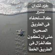 أقوال عن الطريق الصحيح