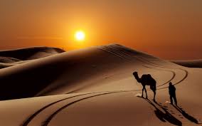 خواطر عن الرمال