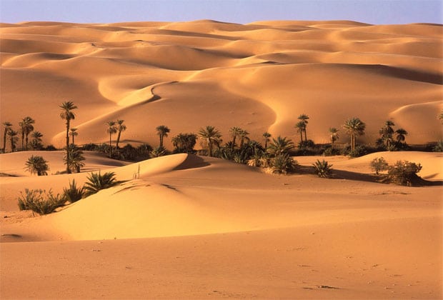 شعر عن الرمال