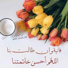 أقوال الامام علي عن الدنيا الفانية