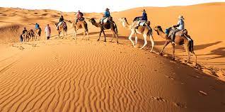 خاتمة عن الصحراء