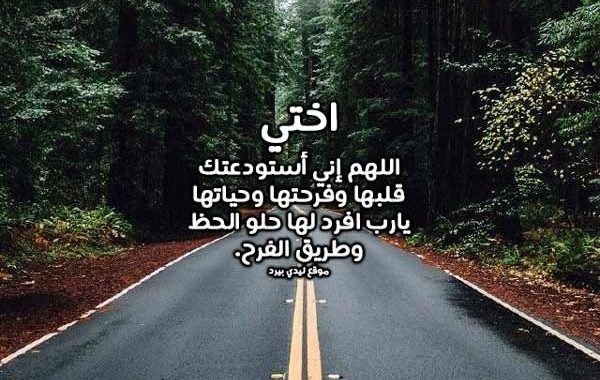 خواطر عن الطريق تويتر