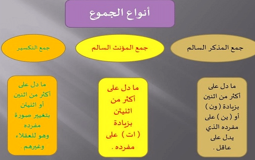 أنواع الجمع