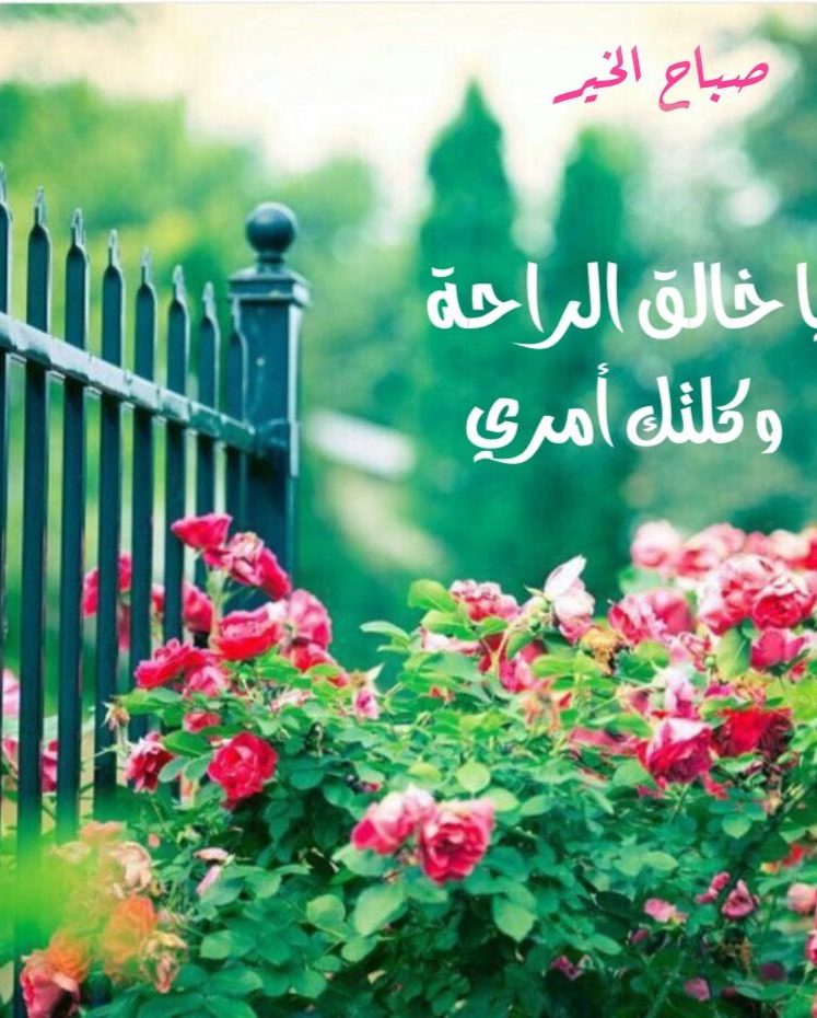 خير ما يقال في الصباح