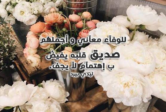 عبارات عن الاهتمام بشخص