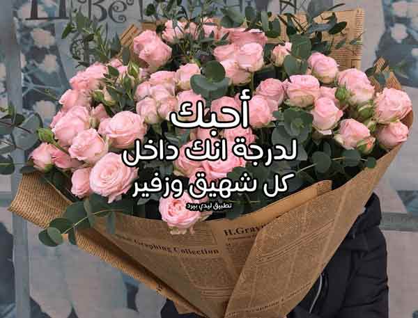 كلام عن الاهتمام والحب